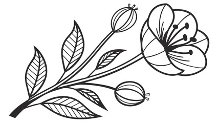 Elegant Black and White Line Art of a Floral Branch with Blooming Flower and Leaves