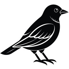 Obraz premium Bird Silhouette