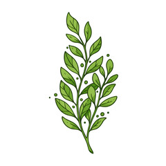 Fototapeta premium Realistic Green Leaf Illustration Isolated on Transparent Background