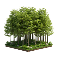 Realistic Image of a Dense Green Forest with Lush Foliage and Transparent Background