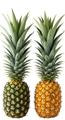Realistic Image of Two Pineapples Side By Side on Black Background