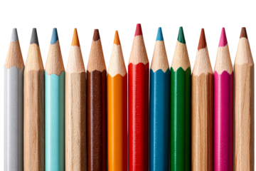 Colorful collection of pencil crayons on display
