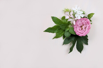 ピンクの薔薇と緑の葉のフレーム