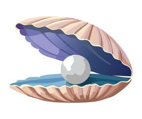 An Open Purple Seashell With A Beautiful White Pearl