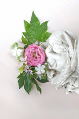 夏の花と眠る天使