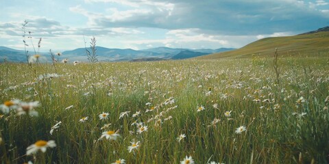 A vast meadow filled with tall grass and wildflowers moving with the wind