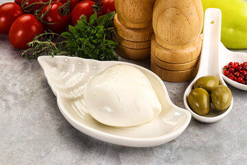 Gurmet organic mozzatla dairy cheese
