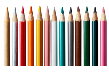 Pencils in a row on clear background