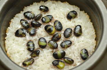 kongbab, Korean Steamed Rice with Black Soybeans in Pot