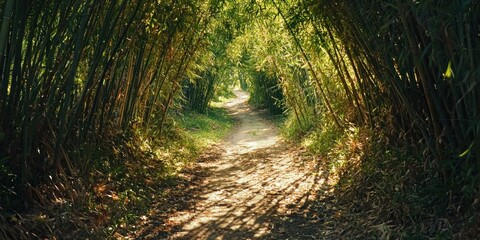 A winding path cutting through a towering bamboo forest, with dappled sunlight filtering through