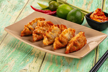 Asian fried stuffed dumplings gyoza