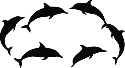 Obraz premium Vector art of a group of black dolphin silhouettes swimming in a circle, isolated on a white background