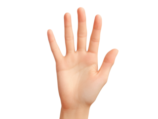Open hand palm up five fingers isolated black background, Isolated On White Background, Png Transparent