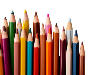 Colorful pencils on clear background