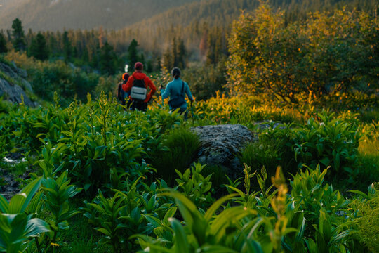 russia, ergaki - 4 august 2025 backpacker on the path in the mountain - Powered by Adobe