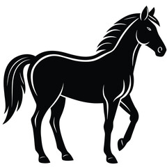 Obraz premium Horse Silhouette