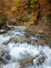 Creek in Autumn in Mountains