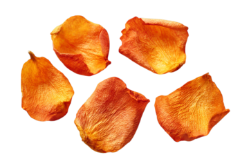 Dried orange rose petals isolated on transparent background