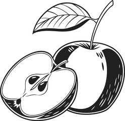 vector illustration of an apple