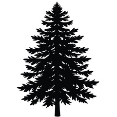 Obraz premium Pine Tree Silhouette