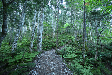 Climbing  Mount Senjogatake Yamanashi, Japan