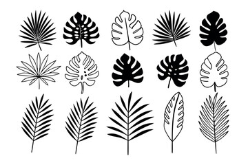 Collection of 30 diverse tropical leaf illustrations © MohammadMonirul