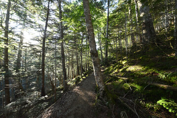 Obraz premium Climbing Mount Senjogatake Yamanashi, Japan