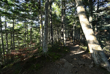 Climbing  Mount Senjogatake Yamanashi, Japan