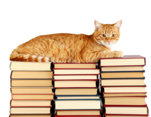 An orange tabby cat lounging atop a stack of books, striking a relaxed pose with an attentive expression.