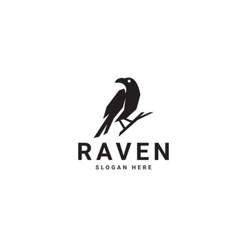Raven bird logo art design vector template