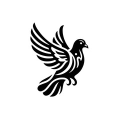 Obraz premium A black and white dove in flight isolated on white background