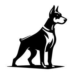  Doberman Pinscher Head Illustration