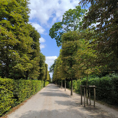 road in the park