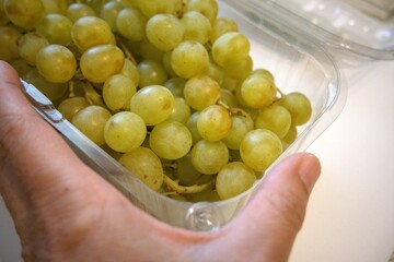 Fresh green grape bunch in a transparent plastic container, photographed close-up in a market or home setting with hand.