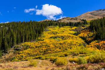 Golden Season in the Centennial State, Colorado, USA