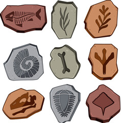fossil set cartoon vector illustration © PikePicture