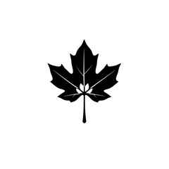 Fototapeta premium a simple black and white illustration of a maple leaf