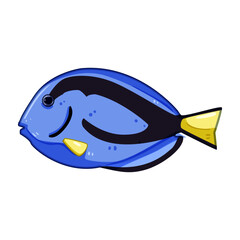 betta decorative fish cartoon vector illustration