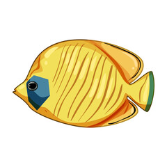 koi decorative fish cartoon vector illustration