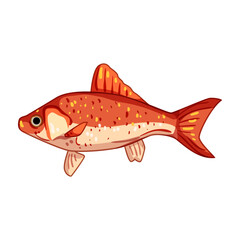 care goldfish cartoon vector illustration