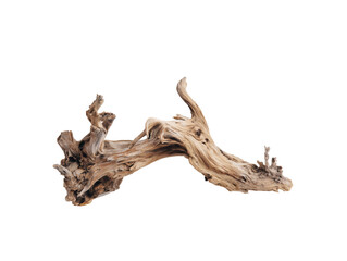 Fototapeta premium A dead wood, white background, clean transparent background