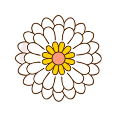 yellow flower isolated on white background