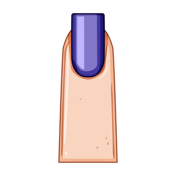 squoval nail shape cartoon vector illustration