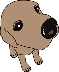 귀여운 대두 리트리버 강아지