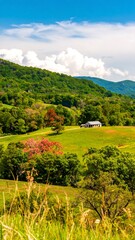 Obraz premium Mountain valley farmland scene