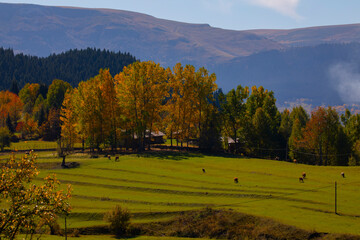 Şavşat is a district and the capital of Artvin Province, located at the eastern end of the Black Sea Region. The name Şavşat comes from the Georgian word Şavşeti, and the town of Şavşat is one of the 