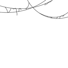 Halloween Spider Web Header