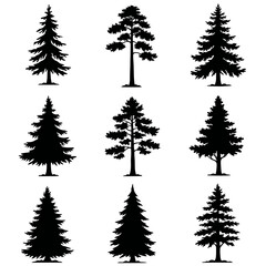 Obraz premium Black Silhouettes of Various Pine Trees Collection