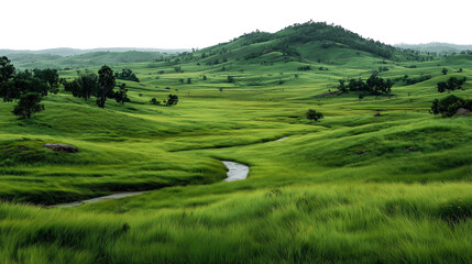 Obraz premium photography landscape grasslands and forests, vibrant green, isolated on white background