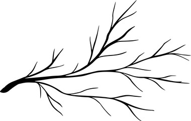 Branch. Isolated black silhouette. Vector decoration element.